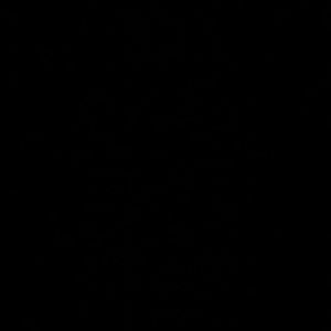 Meet your Posher, Anisha